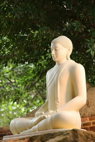 6 Best Quotes by Buddha on Inner Peace