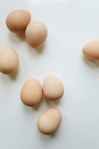 How Vitamin B12 Supports Energy and Brain Function