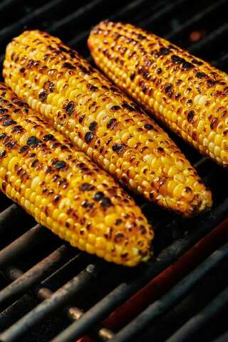 5 Delicious Street Foods to Try in Indian Hills
