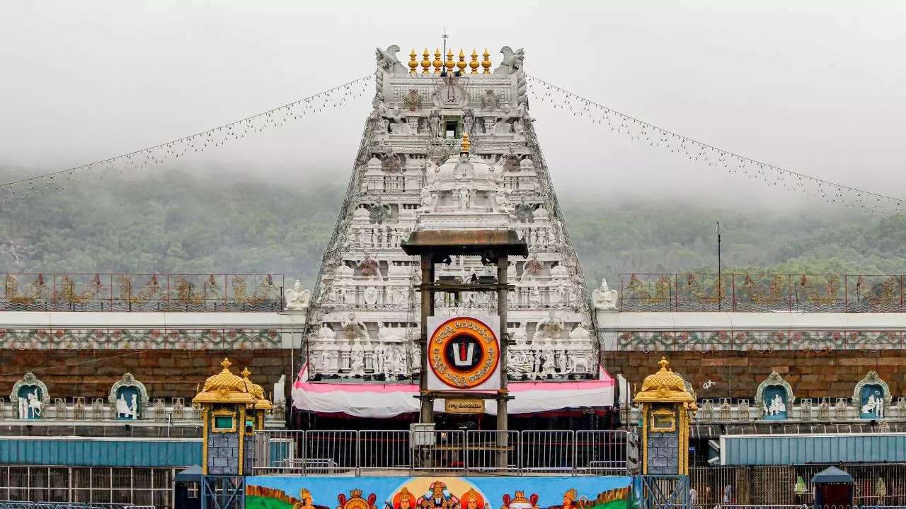 Tirupati Laddus Row: What is ‘Beef Tallow’?
