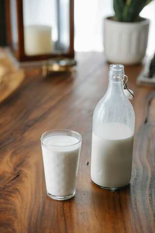 4 Best Vegan Milk for Weight Loss