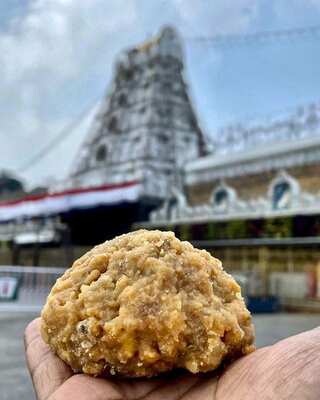 Tirupati Laddu: 5 Facts About Sacred Prasadam at Tirumala Venkateswara temple in Andhra Pradesh
