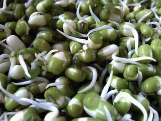 5 Reasons to Eat Sprouts
