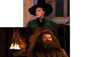 Harry Potter Stars who are Sadly No Longer with Us