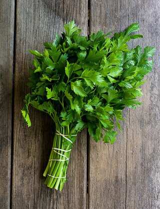 Essential Tips for Growing Parsley in a Container

